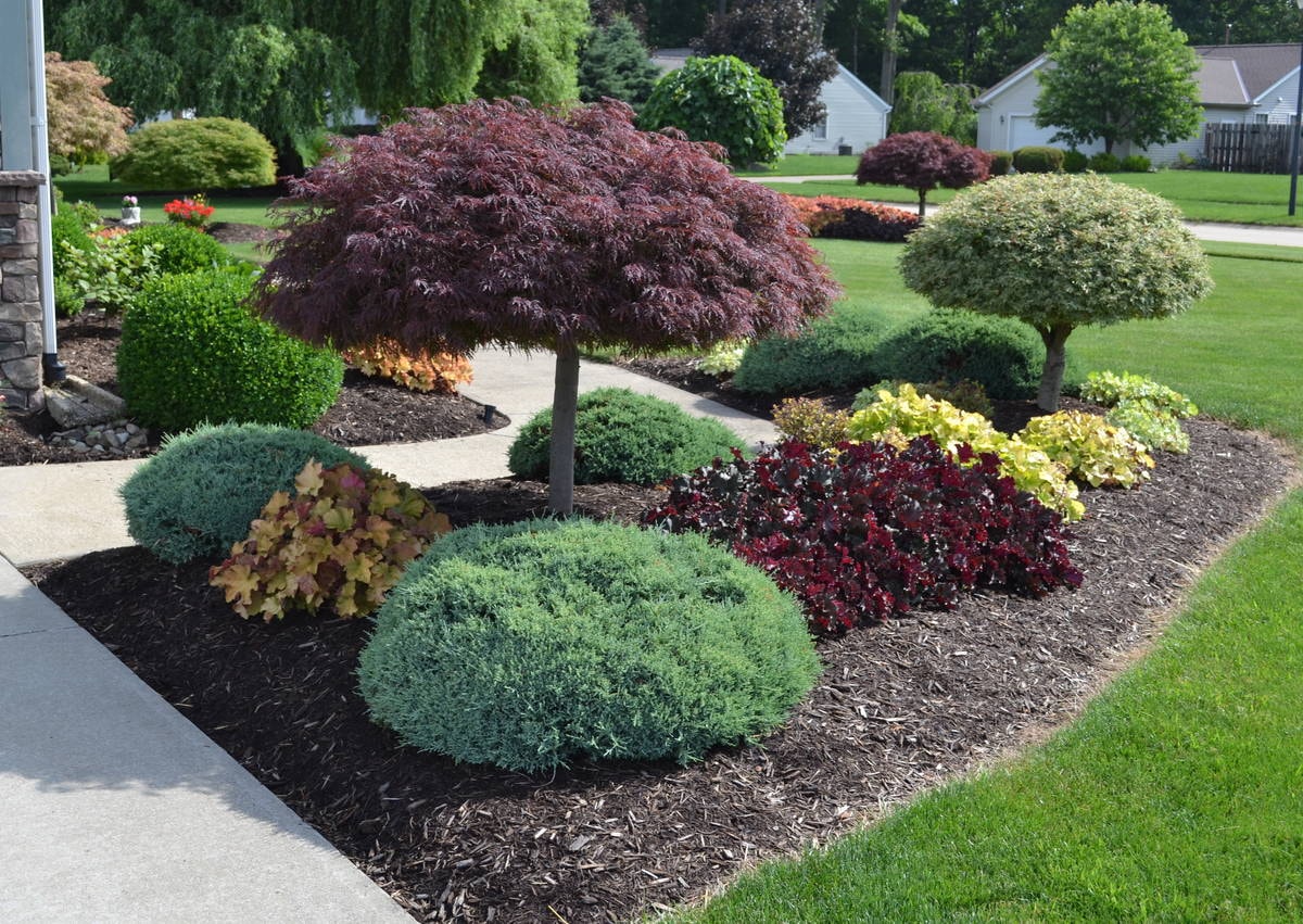Landscape Design in Jenison project 7