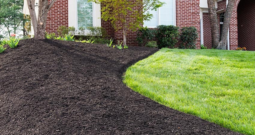 Mulch Installation project 2