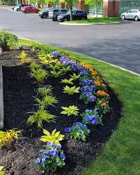 Tree & Shrub Planting project 7