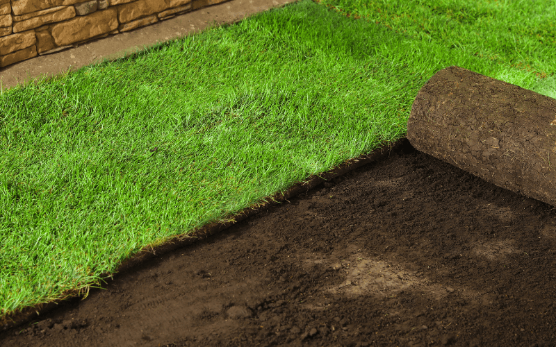 Sod Installation project 1